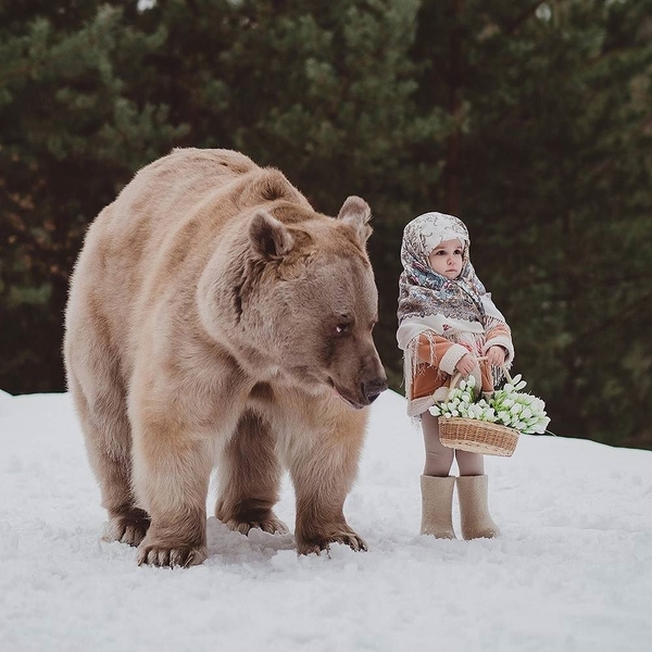 Медведей пост. №2. - Фотография, Медведь, Природа, Длиннопост, Медведи