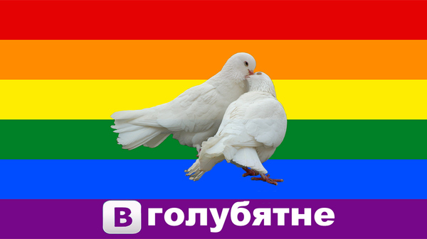 New social network - My, LGBT, Gay Pride, Homosexual propaganda, Homophobia
