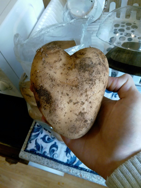      , 