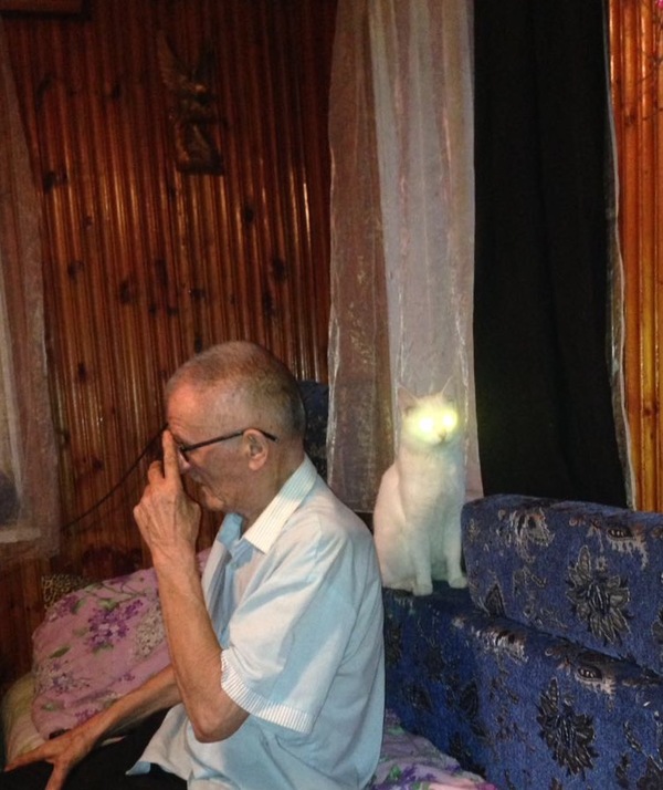 May holidays in the country, grandfather watches TV with his pet))) - Grandfather, cat