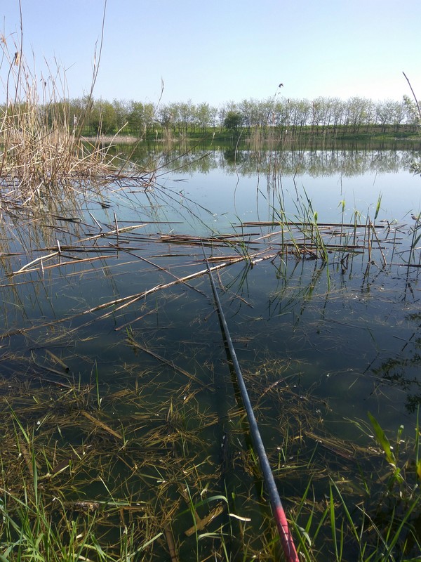 PEACE LABOR MAY :) - My, Fishing, beauty of nature