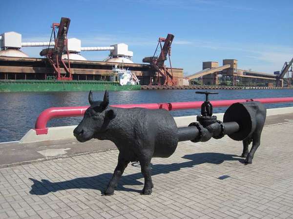 Seen in Latvia - Latvia, The photo, Cow, , Valve, Pipe