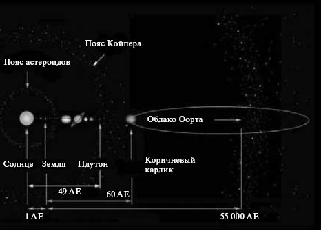 Fascinating macrobiology - My, , Oort Cloud, Land, Person, Longpost, Universe