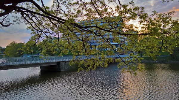 A little bit of the Lower Lake and spring. - My, Kaliningrad, Spring, Lower Lake, Walk, Longpost, 