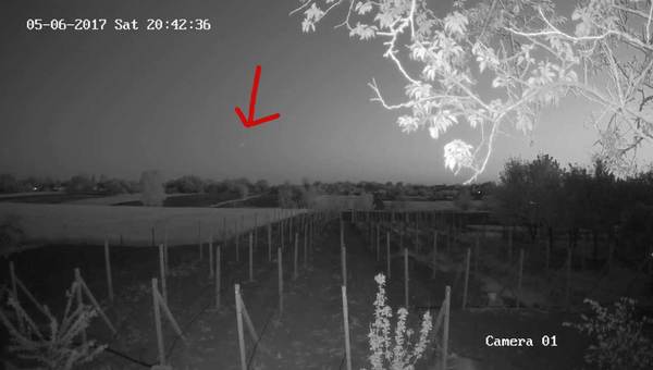 UFO in the vineyard, or what is it? Please help me to determine - My, UFO, , Vineyard, 