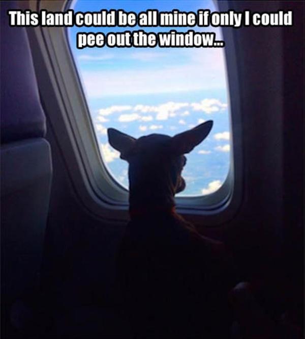 ��� ��� ����� ����� ���� ����, ���� �� � ������ ��� �������� �� ������������