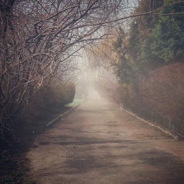 Foggy morning - My, The photo, Mobile photography, Morning, Odessa