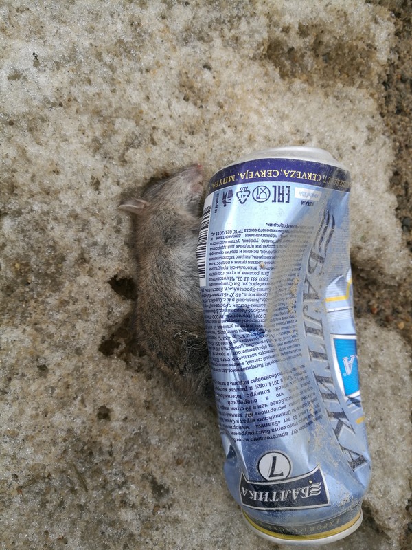 ����� ������� "�������"