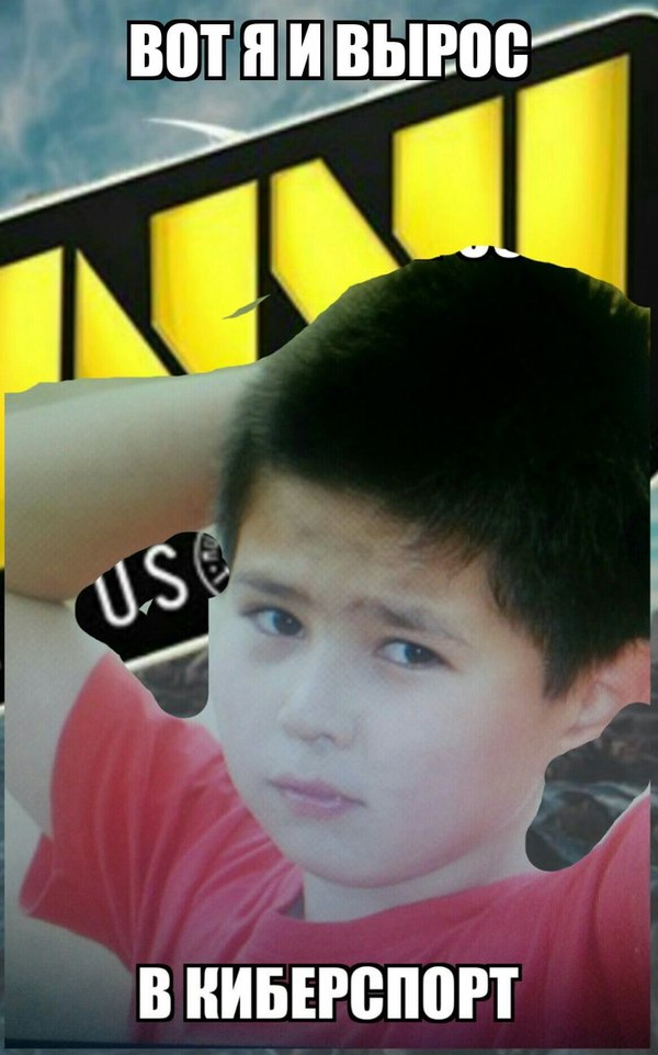   , , Dota 2, Navi