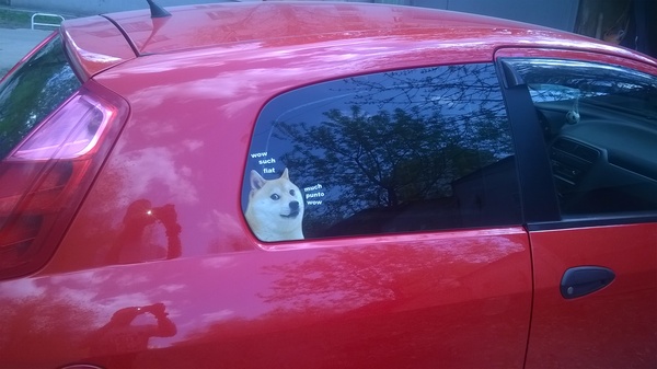 WOW! SUCH DOGE! - My, Doge, Wow, Auto