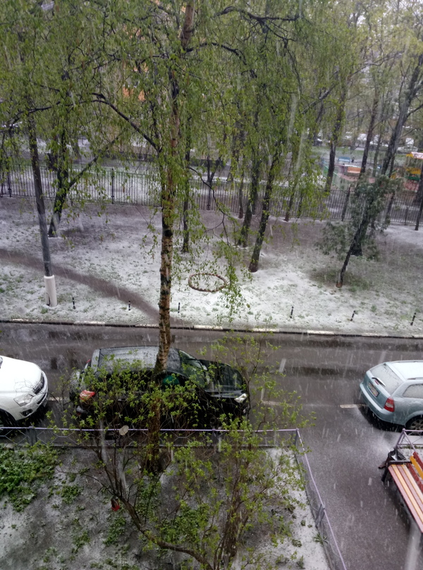 I understood everything: it turns out - this is the wrong May. - My, May, Snow, The photo, , Moscow