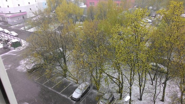 May 8 in Moscow - Spring, My, Bad weather, Weather, Moscow, Snow