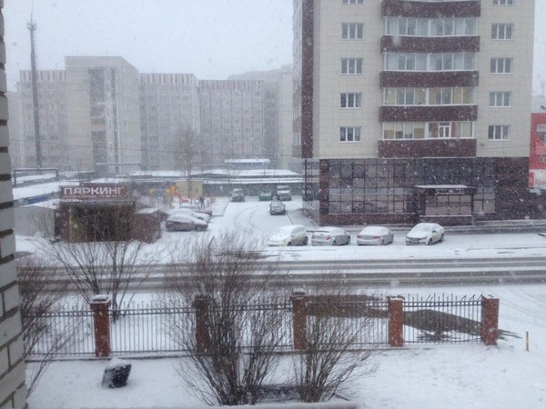 Surgut, what are you doing? - My, Surgut, May, Weather, Snow