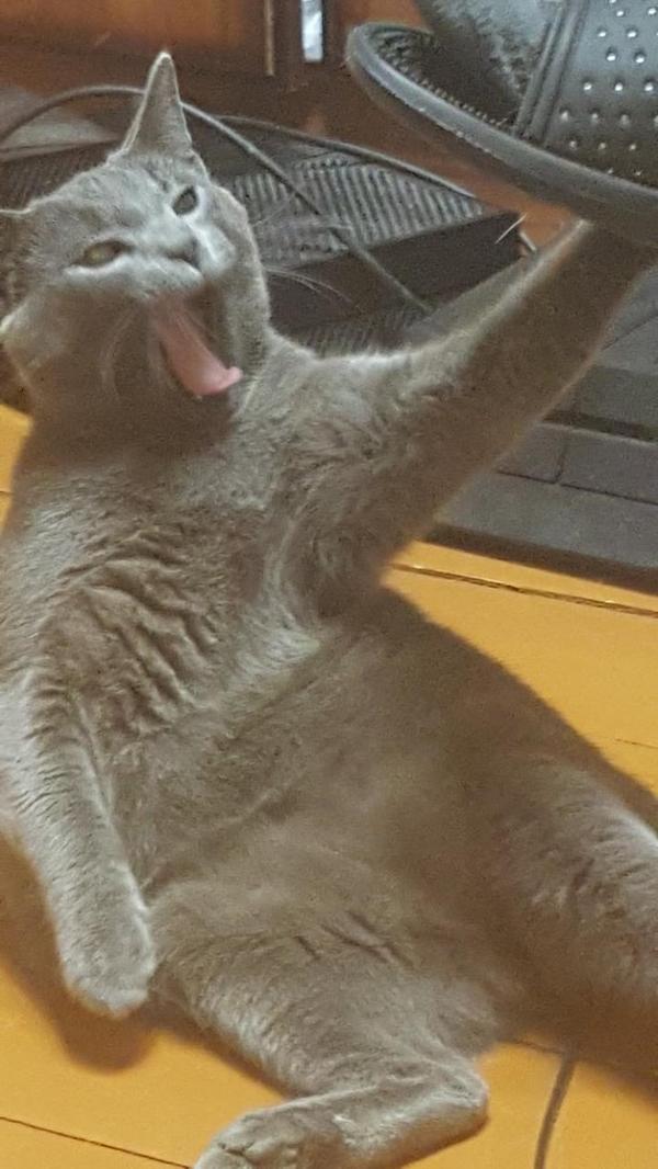 -. ,   , 