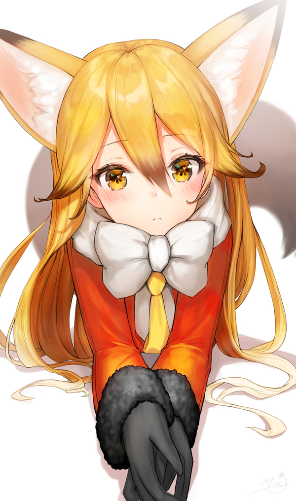 Ezo Red Fox - Anime Art, Аниме, Ezo Red Fox, Kemono Friends