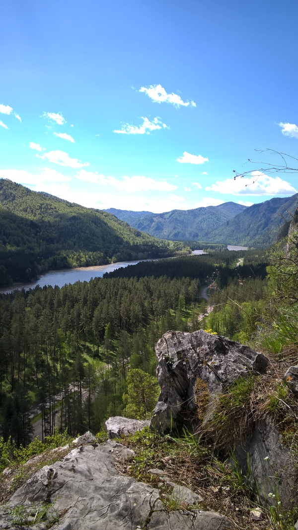View of the Katun from a height of 60 meters - My, Katun, Mountain Altai, Landscape, The mountains, Nokia Lumia, Altai Republic