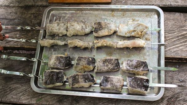 Catfish shish kebab | VKAZANE - My, , Shashlik, , , The May holidays, Recipe, , , Video, Longpost