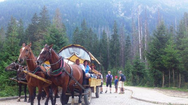 Tatzany Park and Morskie Oko Lake. Part II - Travels, Nature, Longpost