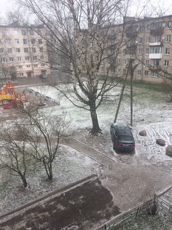 Без 20-ти дней лето. Санкт-Петербург.