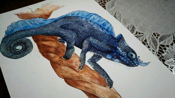 Homa - My, Chameleon, Watercolor, Pen