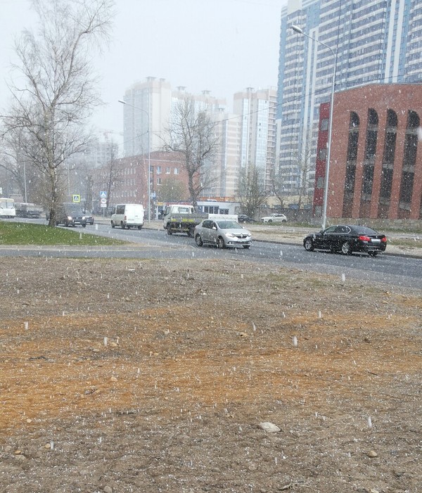 St. Petersburg. 05/10/17 - My, Snow, Saint Petersburg, Dog, , , The photo, Longpost