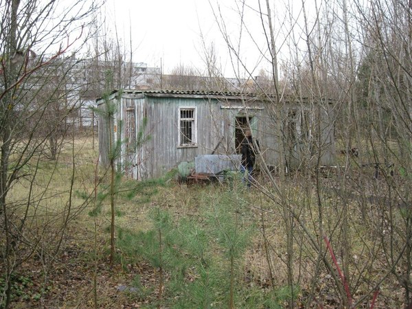 Excursion to the Chernobyl nuclear power plant. - Chernobyl, Longpost, Pripyat, Zuo, My