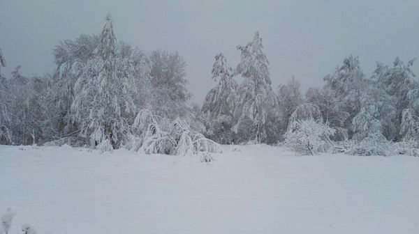 May 10! Spring. - Spring, Winter