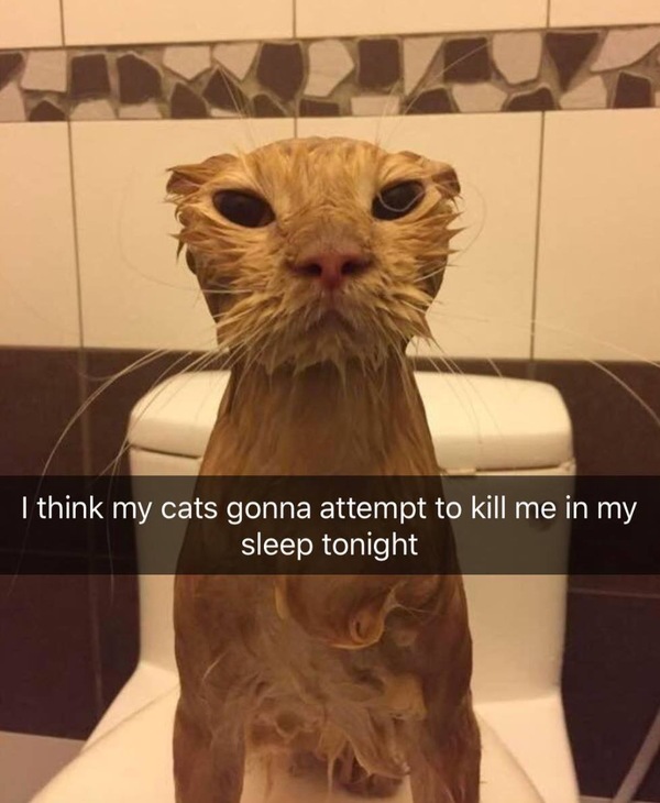 &quot; ,      ...&quot;