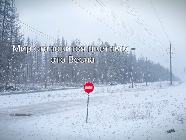 They forgot to remove the sign on the Priozersky highway, so the spring convertible slowed down. - My, Spring, , Signs, View from the window