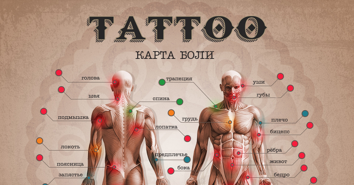 Песня голова шея. Карта боли татуировок. Болевые места татуировок. Точки боли тату. Самые популярные места для тату.