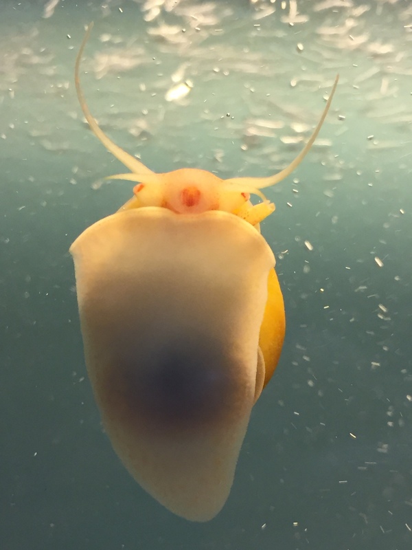 �����������������