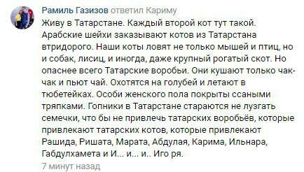 Need help from Tatarstan. - Sparrow, Tatarstan