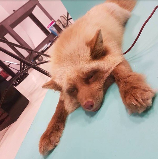 Когда в твоей жизни всё уруру ^^