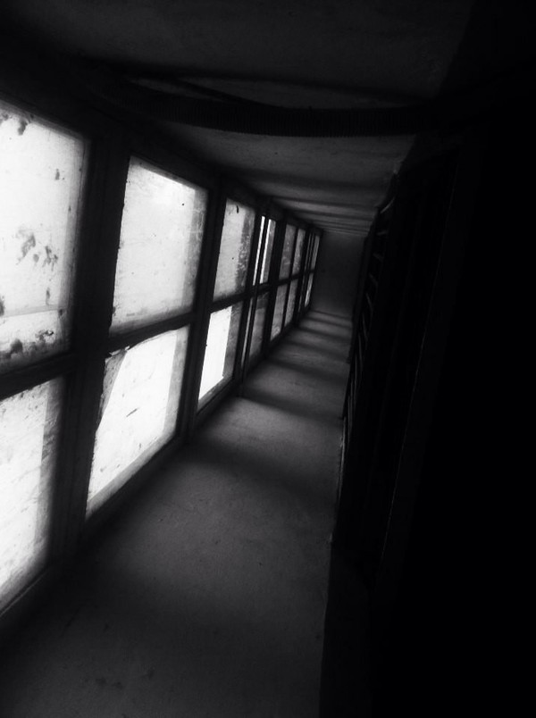 Черно-белое моё Черно-белое, Фотография, Длиннопост