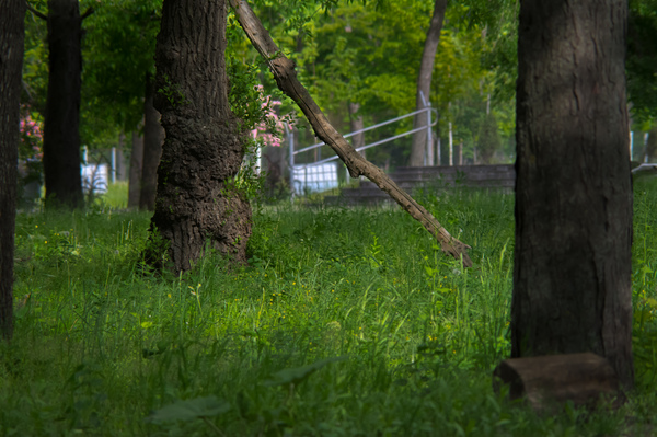 "Солнечный уголок"