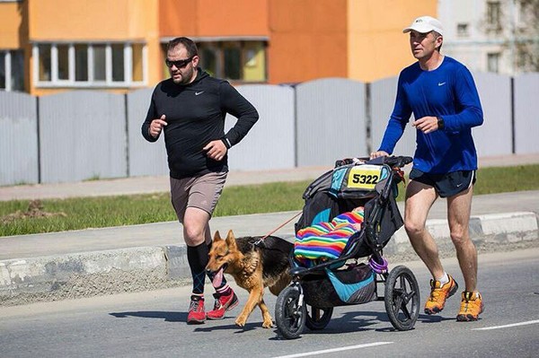 Race Native Islands 10 km, Yuzhno-Sakhalinsk. - Sakhalin, Family, Dog, Sport