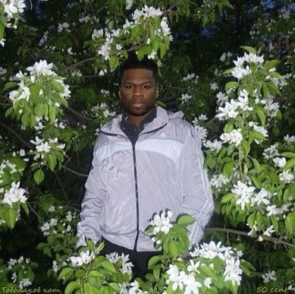 50 cent на даче