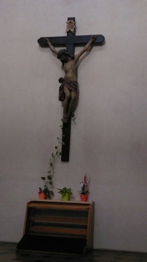 When a flower grows with God's help (Church of St. Nicholas, Prague). - My, Flowers, Jesus Christ, Church, Got, Why not?