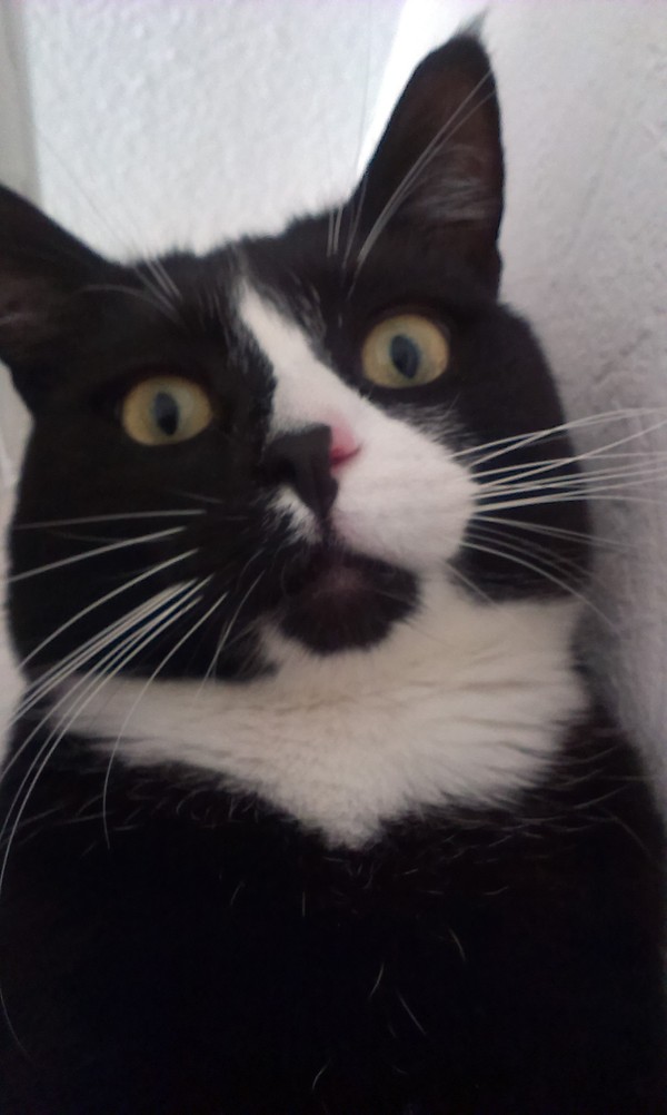 Quand je te vois le matin au rveil