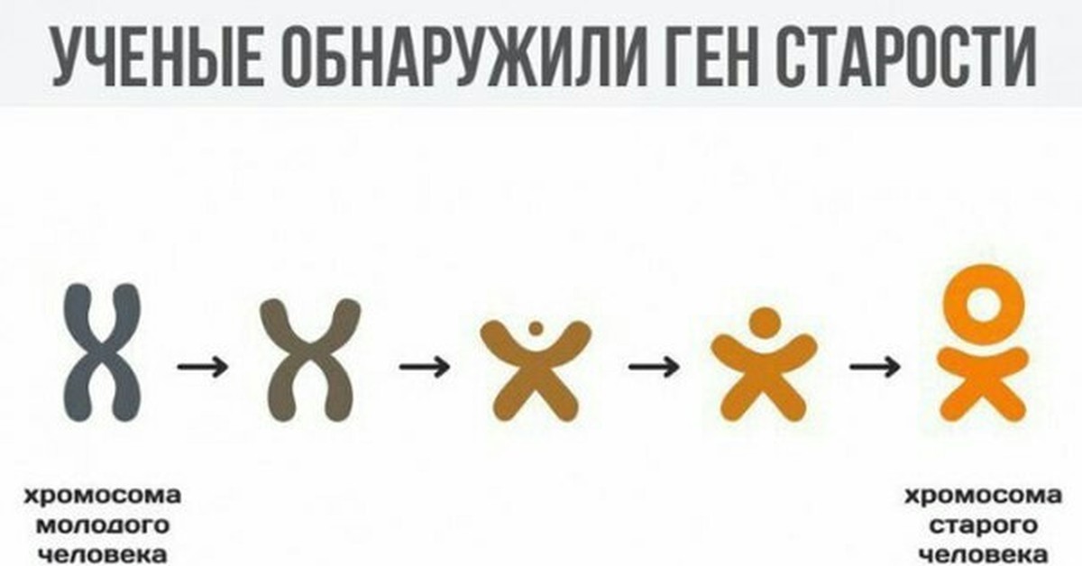 Сколько хромосом 46. Сколтко у человек зромосом. Сколько хромосом уч ел. Сколько храмосовов у человека. Сколтко у человек хромрсом.