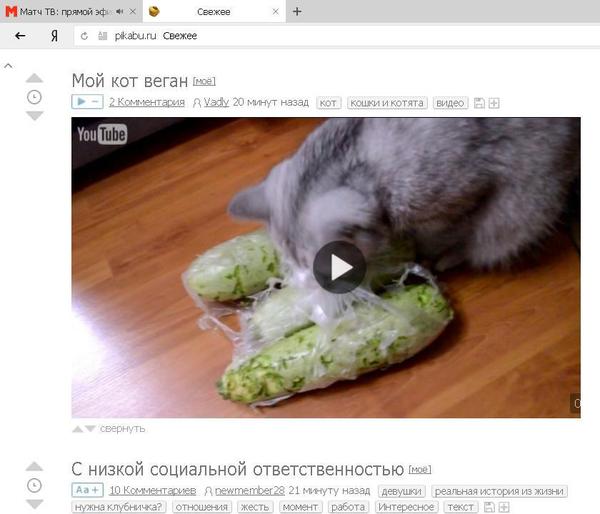 Coincided - Coincidence, Matching posts, cat, Vegan, Match on Peekaboo, 