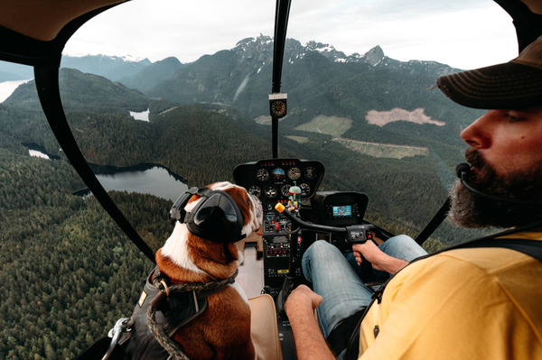 Second pilot - Aviation, Helicopter, Dog, Nature, Longpost