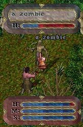   ,   Ultima Online Ultima Online,  , 