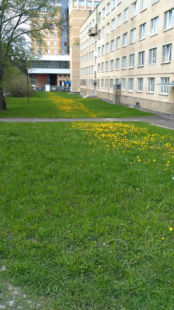 �� ������� �����