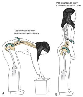 Neutral spine position - My, Sport, Тренер, Training program, Physical Education, Health, Spine, Lordosis, Sports Tips, Longpost