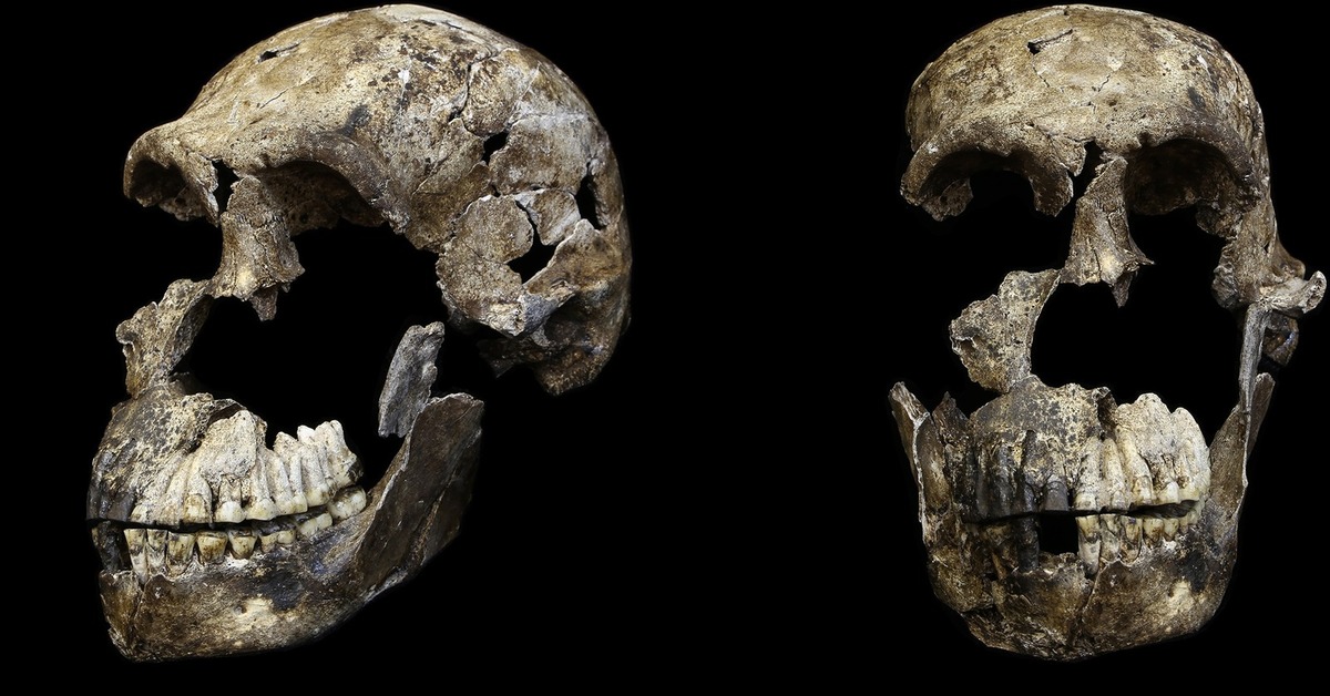 Homo naledi. Археология Антропогенез.