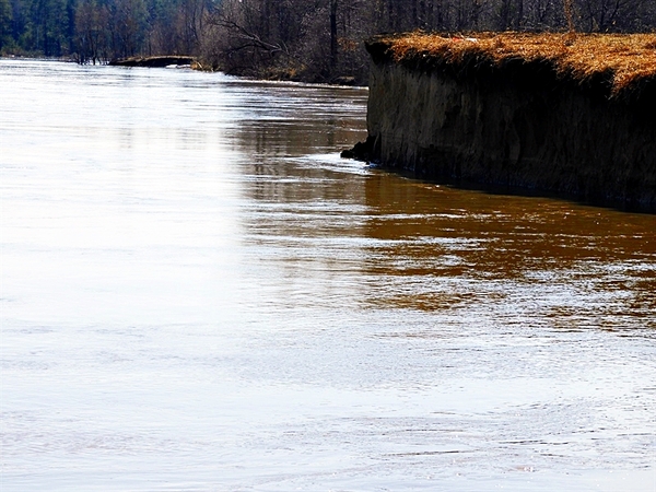 Spring flood of the Chumysh River in Altai - 2017. - My, Altai, Altai region, , Video, Altai Republic