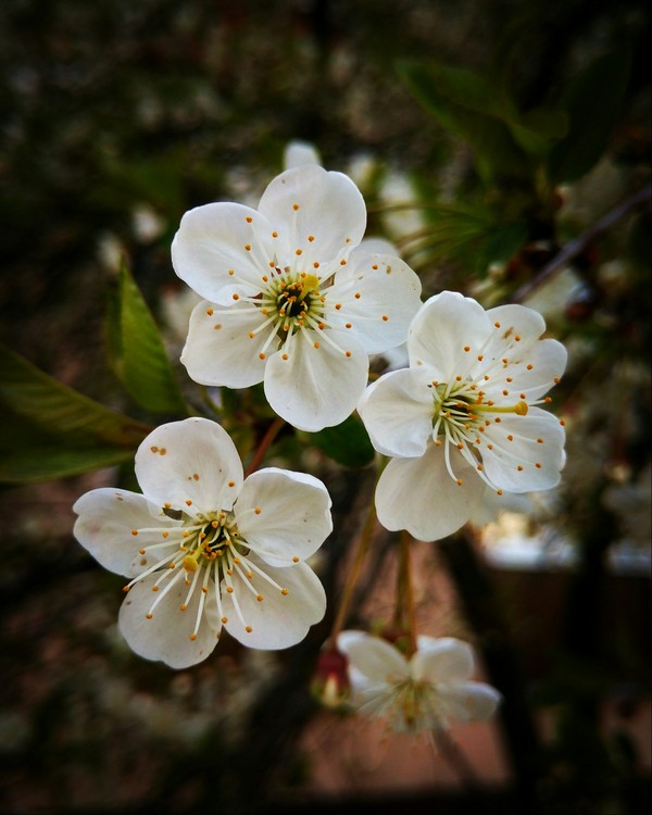 Жаль, что запах не передать