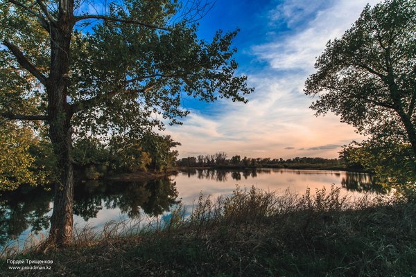 Evening on the lake - My, The photo, Landscape, Kazakhstan, Uralsk, Canon, Lake, Forest, Longpost