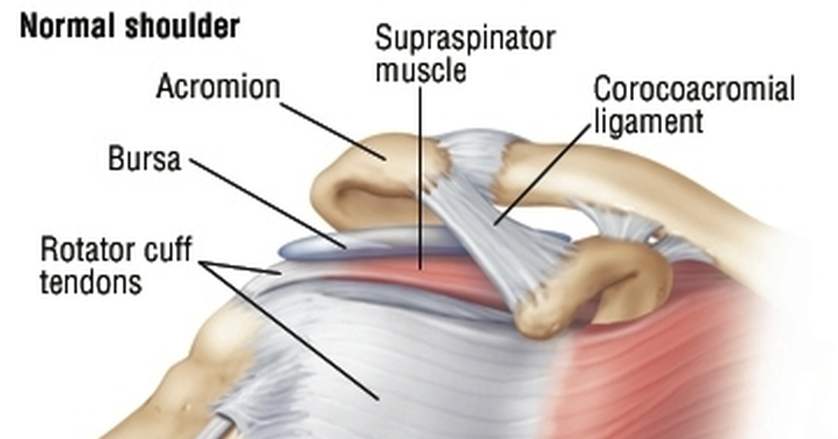 Болит плечевой сустав правой руки. Rotator Cuff упражнение на плечи. Кровоснабжение ротаторной манжеты. При армейском жиме болит плечо. Связки на спине порвалась.